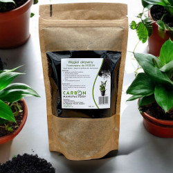 Węgiel aktywny aktywowany formowany